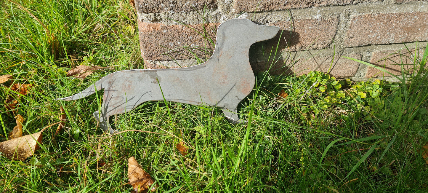 Teckel Staand Rimmer