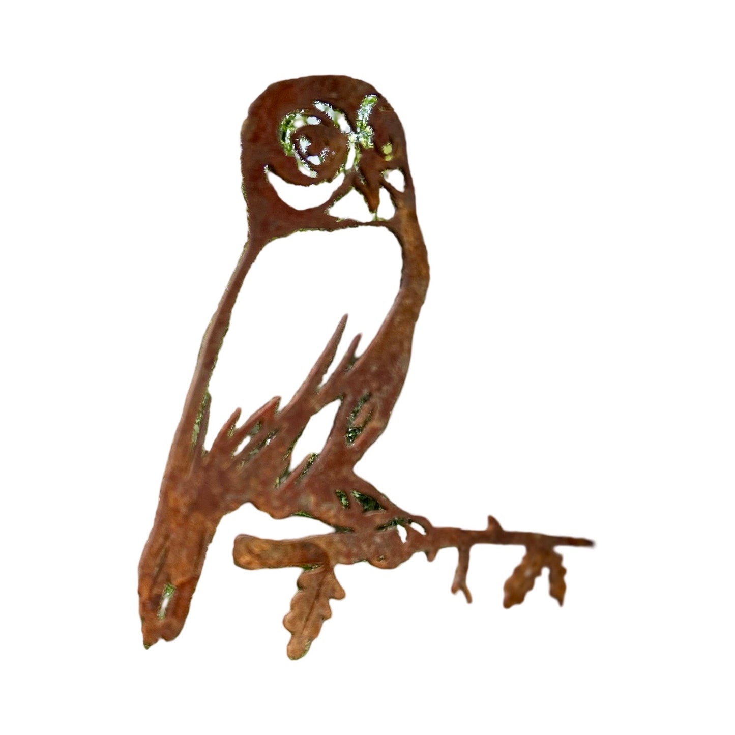 Uil Hans
