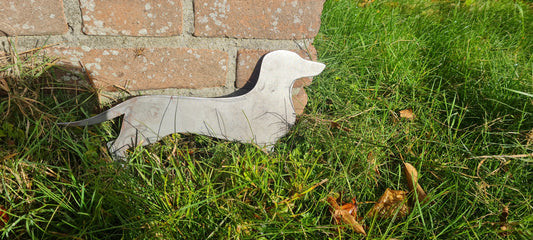 Teckel Staand Rimmer