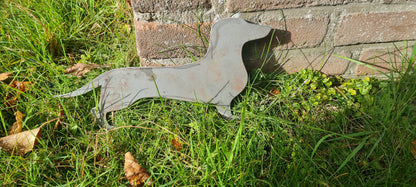 Teckel Staand Rimmer